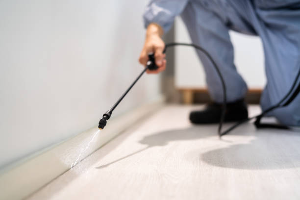 Licensed Termite Control service in Fort Rucker, AL - Nex Pest Control