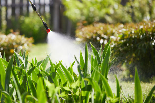 24/7 Emergency Termite Control experts in Fort Rucker, AL