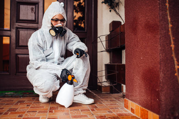 Reliable Termite Control contractor in Fort Rucker, AL by Nex Pest Control