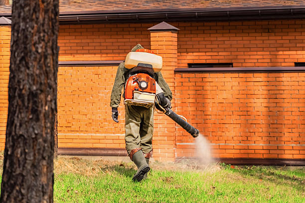 Trusted Ant Control service in Fort Rucker, AL - Nex Pest Control
